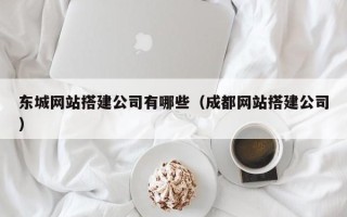 芜湖东城网站搭建公司有哪些（成都网站搭建公司）